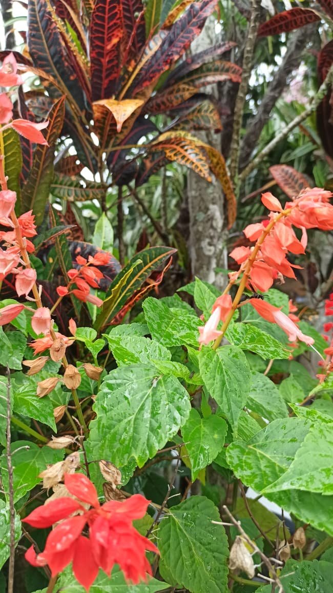 Hotel Natur Campeche - Foto 109